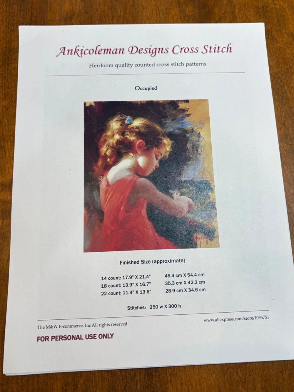 Ankicoleman  Designs Cross Stitch Pattern - Girl in Red Dress “Occupied”